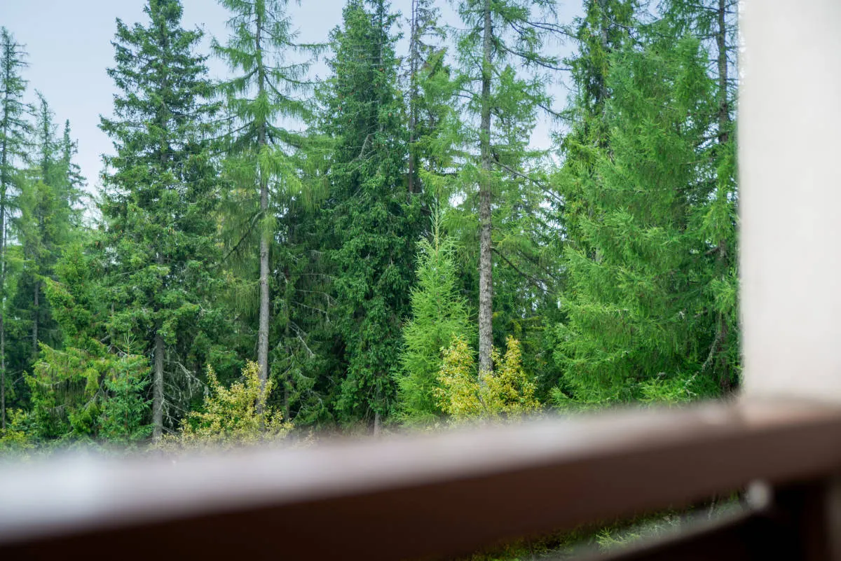 Apartmán Štrbské Pleso – Galéria 17