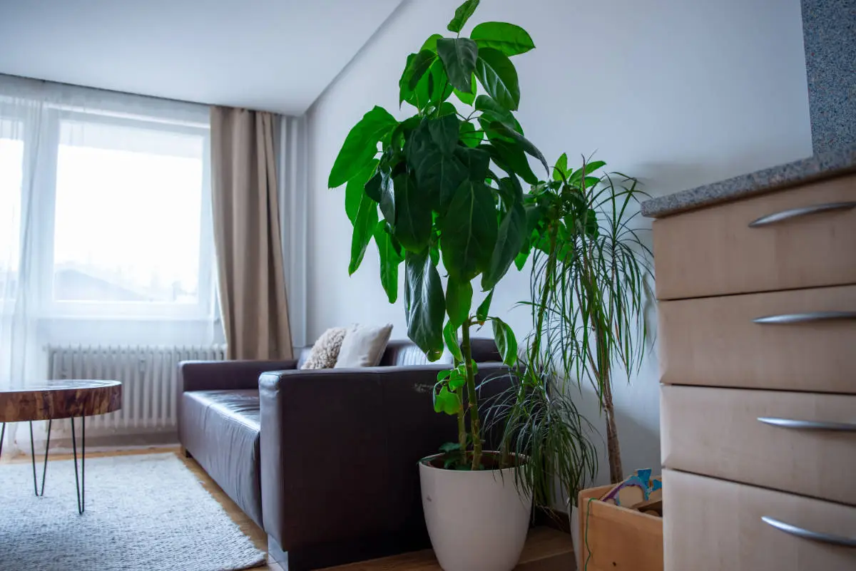 Apartmán Štrbské Pleso – Galéria 18