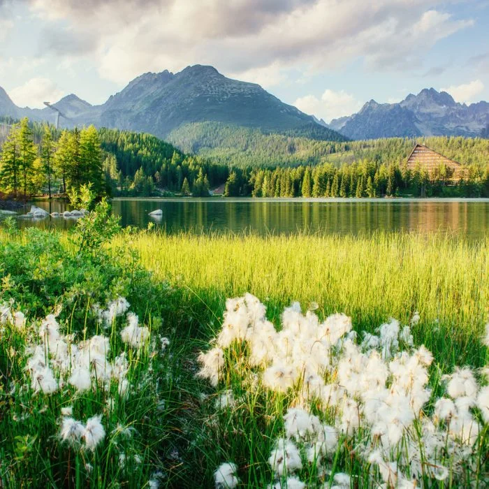 Majestic High Tatras Mountain Lake